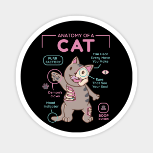 Anatomy Of A Cat Funny Cute Cat Design Magnet